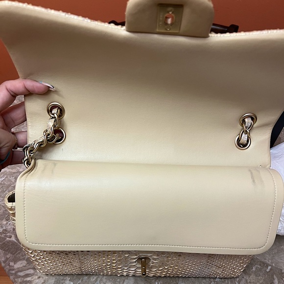 AUTHENTIC LIKE NEW LIMITED EDITION CHANEL CLASSIC IRIDESCENT PYTHON DOUBLE FLAP - Picture 11 of 12